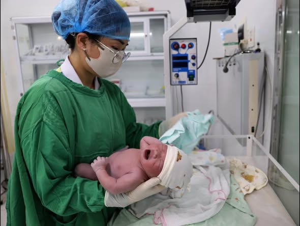 658326278 1802858834191340 8105801830062030354 n