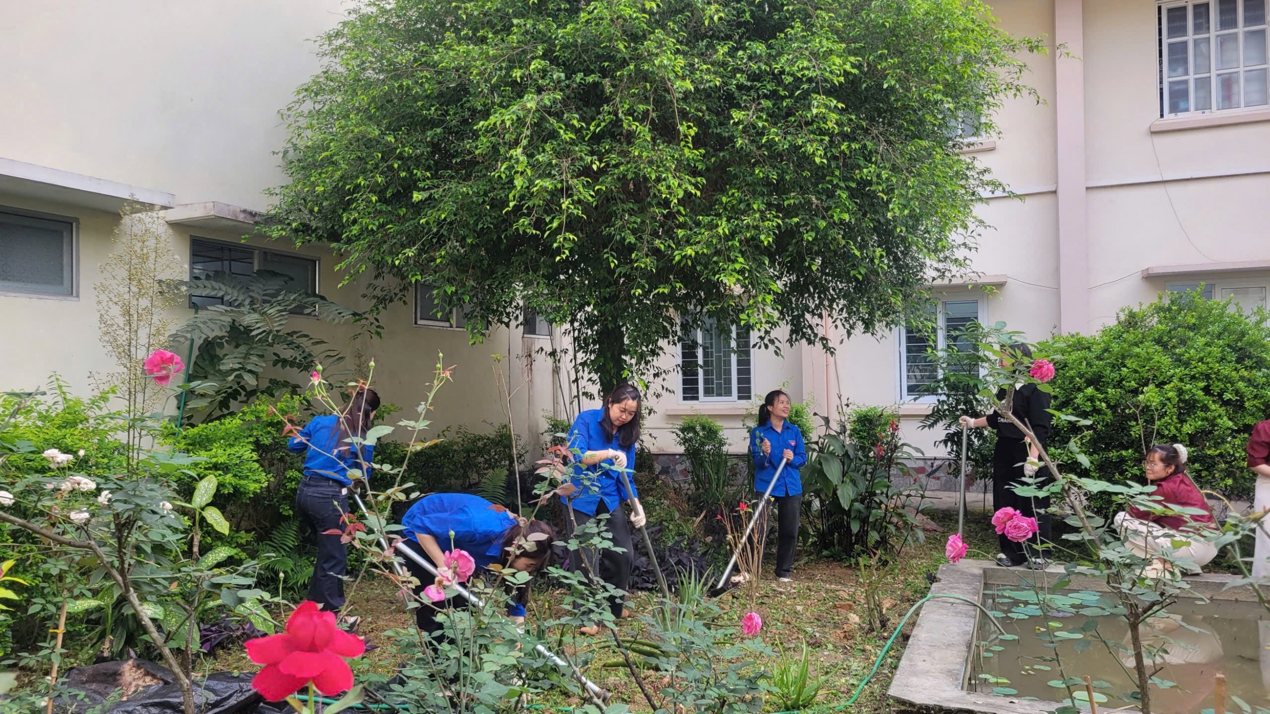 BỆNH VIỆN ĐA KHOA TỈNH CAO BẰNG TÍCH CỰC HƯỞNG ỨNG NGÀY NƯỚC THẾ GIỚI VÀ NGÀY KHÍ TƯỢNG THẾ GIỚI NĂM 2026